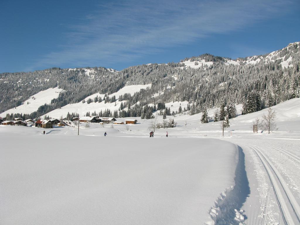 Apartmán Alpenroesle Balderschwang Exteriér fotografie